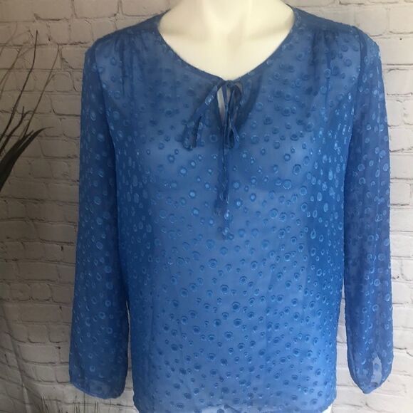 J Crew sheer polka dot blouse - Picture 1 of 5